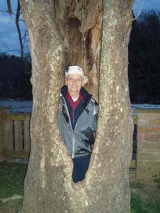 Pastor Terry in the hollow tree.