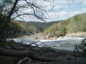 Hiking the Eagle Falls trail, less than four miles from our house. This is looking at the river just before it goes over the falls.
