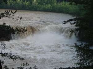 Look at the falls now!