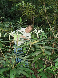 Kristina exploring off the trail.