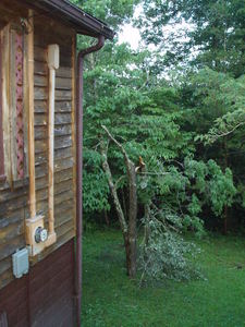 A tree in our yard blew down during one of our big storms.