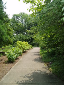We spent Sunday at the botanical gardens. It was a hot day, but the beauty was worth it!