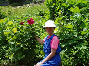 Daniel's Mom looking at the beautiful flowers along the banks!