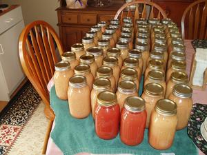 Esther and Kristina also went to an orchard and picked 5 bushels of apples. The next day they made 58 qts of applesauce! (There's two qts. apple juice from the boiled apples.) Later, Daniel and Kristina made 22 qts of chunky applesauce, making our total 80 qts!