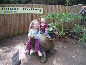 The kids playing on the bronze tortoise. 