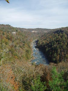 Thursday we hiked down in TN at Honey Creek, about 1.5 hours from our house.