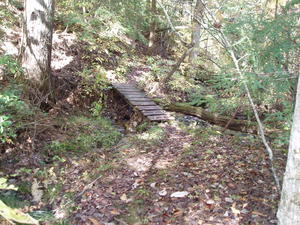 One of the many bridges we crossed.