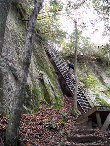 It's safe! You can come up now!