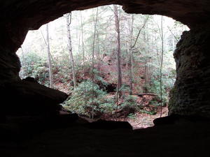 View from inside the shelter. It was really neat!