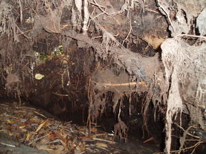 Then he took a picture of the inside!