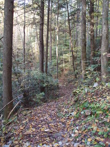 Colorful trail back to the coal tipple.