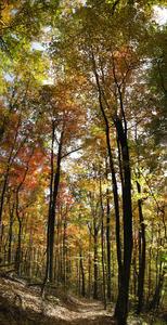 Part of the trail up to White Rocks. 