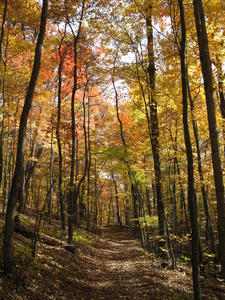 The fall colors were beautiful!
