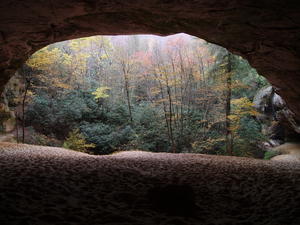 The view from inside the cave, looking out.