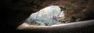 View looking out of the cave from the far back corner.