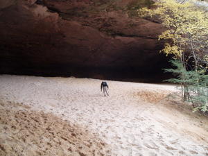 Daniel trying to trudge through the powdery sand. One step forward, two steps back.