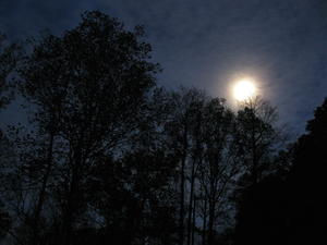 It was nearly dark when Daniel and I reached the car, and shortly after the moon came out brightly. By the end of today, Daniel and Kristina had hiked about 28 miles with Erick in one week!