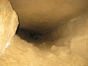 Follow me, Erick, you'll make it through just fine. As long as my feet are moving, you know I'm ok!