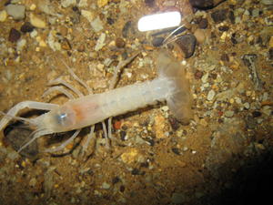 Now Kristina wants to go there sometime!