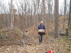 Mike hauling logs up the hill that Daniel just cut.