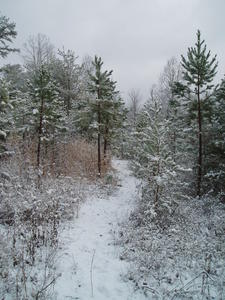 More along our nature trail.