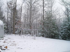 Looking at the backyard from the back porch.