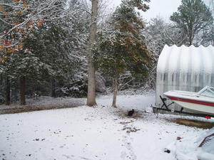 The rest of our backyard.