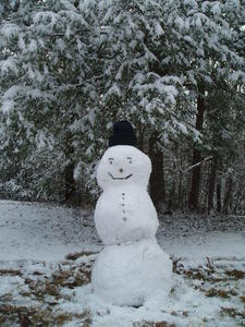 And there's our cheery snowman, complete with Daniel's stocking cap!