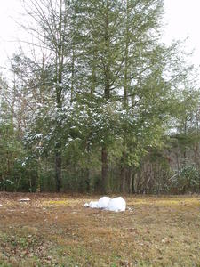 Our poor snowman 24 hours later.