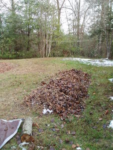 View of our backyard now that the snow melted. You can see our future salad garden.