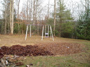 The circle of leaves is our other future garden spot. We've been working for a year to get some top soil in there, but it still has a ways to go.