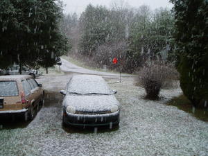 About 30 minutes later...