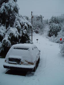 The next morning, and 8 inches of snowfall later...