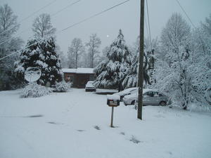 Let's go for a walk! Looking back at our house from our driveway.