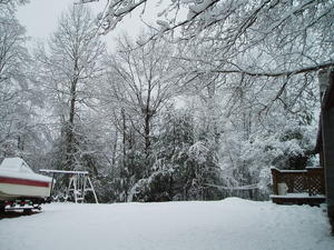 Looking into the backyard...