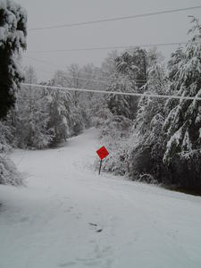 Lets head down the road to our nature trail! 