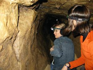 Guess we all followed anyway!