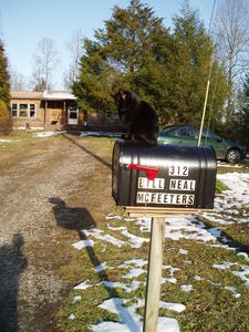 No danger anywhere? Guess it's bathtime!