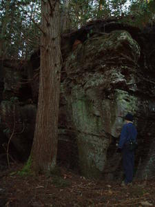 We decided to explore the National Forest bordering our property one afternoon.