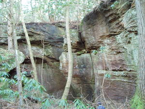 We were trying to find a cave that we've been told is somewhere near this area. We found lots of BIG rocks, but no cave this time. (Notice Daniel's head at the bottom of the picture for size comparison.)