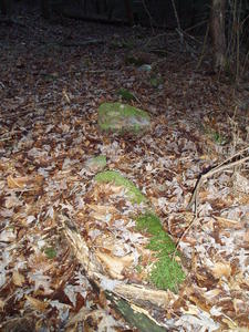 "Slave Wall" remnants. This wall was once a property boundry marker.