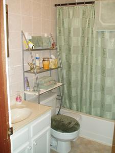 And here is our little bathroom. Can you tell what our favorite color is? Green!