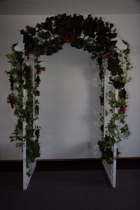 Decorated grape arbor for guest photos.