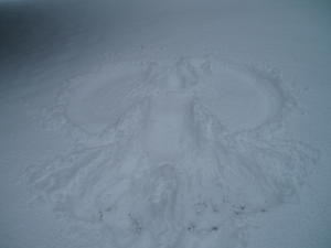 The end of January, after a couple weeks of nice spring weather, it decided to turn winter again--six inches of fluffy powder snow!