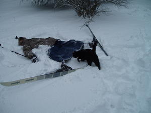 Step four: Take a short rest after furiously moving legs and skis inward and outward.