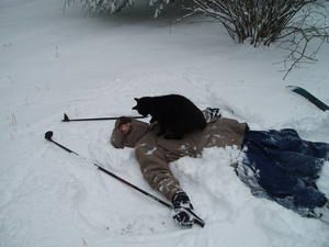 Step seven: Lay there helpless while kitty bats at your coat strings.