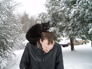 Robert getting pay-back for rescuing Kristina from Claws.