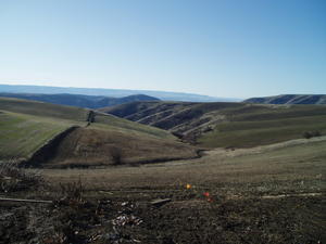 The view from their kitchen window.
