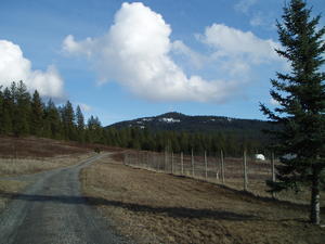 Back on the Reeve property--hard to believe it's been a year since we were here last!