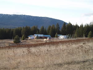 Kristina's Parents home. It seemed so strange not to see ANY snow--especially after what we'd just come from in KY!